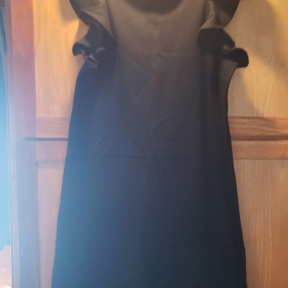 Elegant Black Ruffle Sleeve Mini Dress